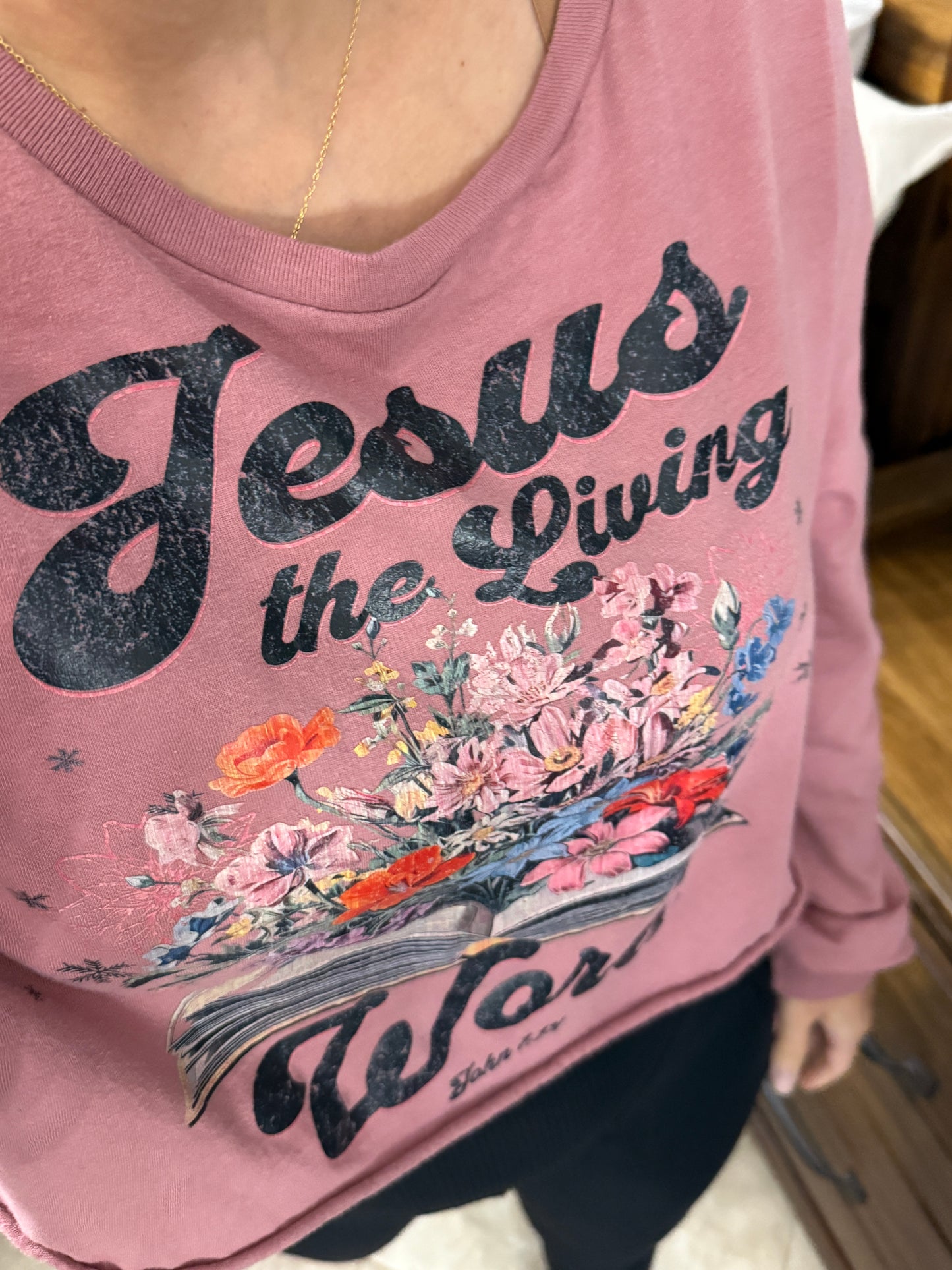 Jesus The Living Word John 1:14 Verse Cropped Long Sleeve Cotton Tee in Mauve