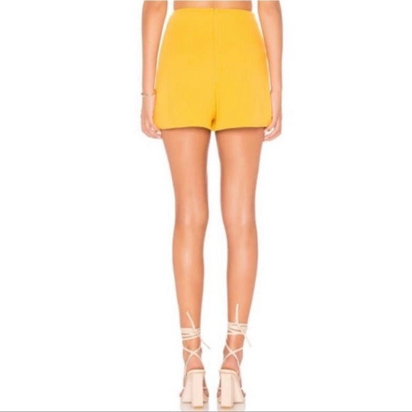 Rachel Pally High Waisted Shorts in Sunflower Size Medium NWT